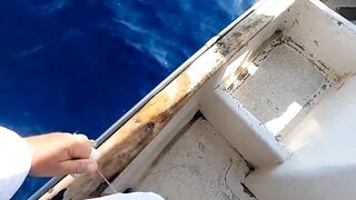 Сейшелы: морская рыбалка на лодке с местными, фильм №2