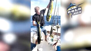 Маврикий — рыбу некуда девать: удачная морская рыбалка с рассвета