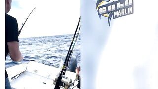 Маврикий — рыбу некуда девать: удачная морская рыбалка с рассвета