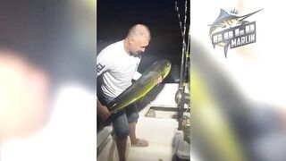 Маврикий — рыбу некуда девать: удачная морская рыбалка с рассвета