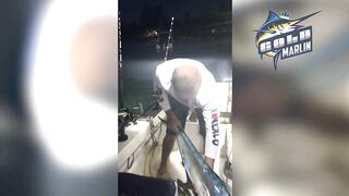 Маврикий — рыбу некуда девать: удачная морская рыбалка с рассвета