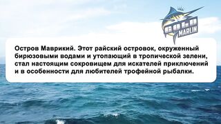 Маврикий — рыбу некуда девать: удачная морская рыбалка с рассвета