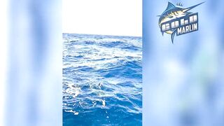 Маврикий — рыбу некуда девать: удачная морская рыбалка с рассвета