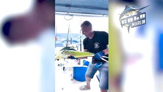 Маврикий — рыбу некуда девать: удачная морская рыбалка с рассвета