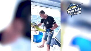 Маврикий — рыбу некуда девать: удачная морская рыбалка с рассвета