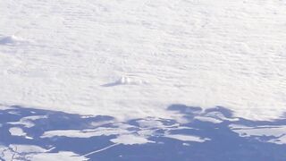 Маврикий — как заработать на рыбалке на райском острове, реально ли это?