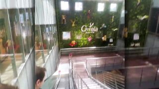 Маврикий — как заработать на рыбалке на райском острове, реально ли это?