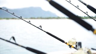 Суданская банка и Сан-Брандон — морская рыбалка на Маврикии