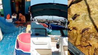 Latchi fishing harbour — крабы, сети и пирс: что клюет у мола?