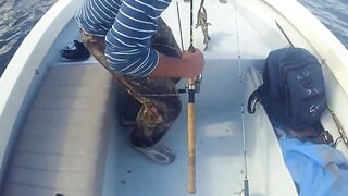 Latchi Trip — Cyprus Spin Masters: как прошла рыбалка в бухте?