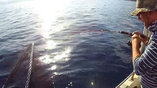 Latchi Trip — Cyprus Spin Masters: как прошла рыбалка в бухте?