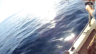 Latchi Trip — Cyprus Spin Masters: как прошла рыбалка в бухте?