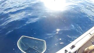 Latchi Trip — Cyprus Spin Masters: как прошла рыбалка в бухте?