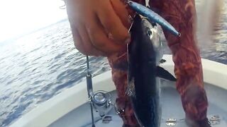 Latchi Trip — Cyprus Spin Masters: как прошла рыбалка в бухте?