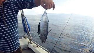 Latchi Trip — Cyprus Spin Masters: как прошла рыбалка в бухте?