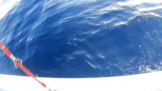 Latchi Trip — Cyprus Spin Masters: как прошла рыбалка в бухте?