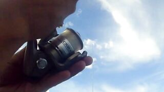 Latchi Trip — Cyprus Spin Masters: как прошла рыбалка в бухте?