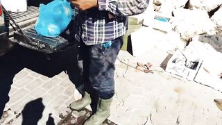 Zygi, Cyprus: покупаем дикую рыбу — как выбрать свежий улов?