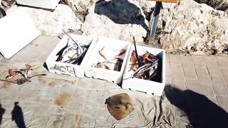 Zygi, Cyprus: покупаем дикую рыбу — как выбрать свежий улов?