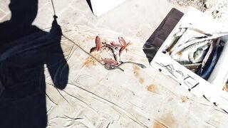 Zygi, Cyprus: покупаем дикую рыбу — как выбрать свежий улов?