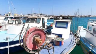 Zygi Port in Cyprus: короткий тур по причалу и лавкам рыбака