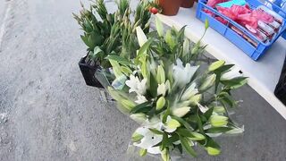 Zygi, Larnaca, Cyprus, прогулка по марине и рыбалка у пирса