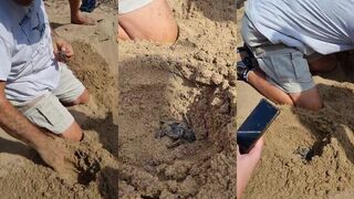 Lara Bay: станция черепах и правила для рыбалки рядом