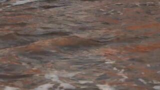 Lara Bay — морские черепахи у Кипра, соседство с рыбалкой допустимо?