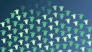 Lara Bay — морские черепахи у Кипра, соседство с рыбалкой допустимо?