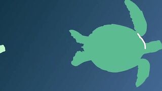 Lara Bay — морские черепахи у Кипра, соседство с рыбалкой допустимо?