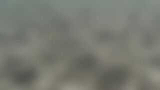 Lara Bay — заповедник черепах, можно ли тут ловить с берега?