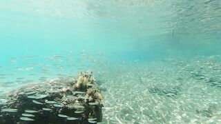 Lara Bay — заповедник черепах, можно ли тут ловить с берега?