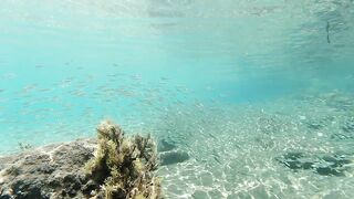 Lara Bay — заповедник черепах, можно ли тут ловить с берега?