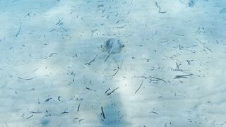 Lara Bay — заповедник черепах, можно ли тут ловить с берега?