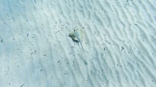 Lara Bay — заповедник черепах, можно ли тут ловить с берега?