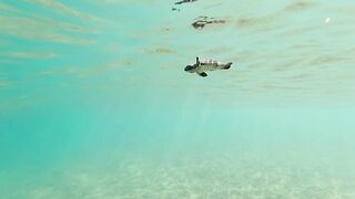 Lara Bay — заповедник черепах, можно ли тут ловить с берега?