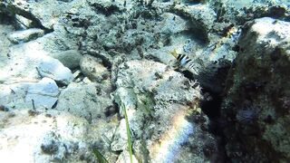 Lara Bay — заповедник черепах, можно ли тут ловить с берега?