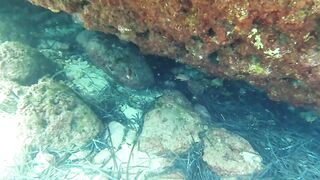 Lara Bay — заповедник черепах, можно ли тут ловить с берега?