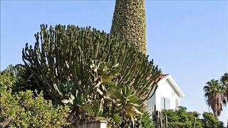 Cape Greco, Cyprus: скалы, течения и безопасные точки для спиннинга