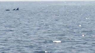 Cape Greco — тропы к свалам, цвета воды и контроль глубины