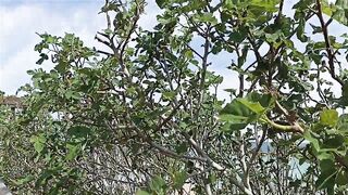 Протарас, Fig Tree Bay: как меняется пляж и клев в апреле 2022?