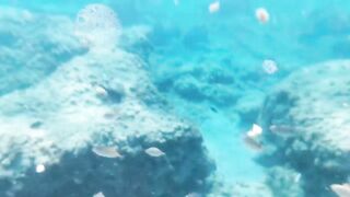 Fig Tree Bay — снорклинг и кормление рыбы, где запрещено с удочкой?