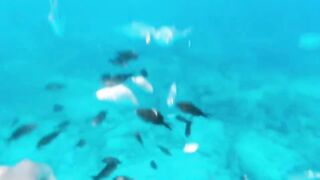 Fig Tree Bay — снорклинг и кормление рыбы, где запрещено с удочкой?