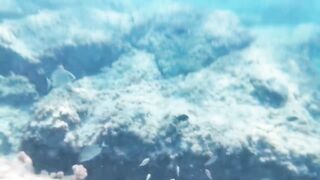 Fig Tree Bay — снорклинг и кормление рыбы, где запрещено с удочкой?