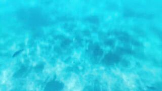 Fig Tree Bay — снорклинг и кормление рыбы, где запрещено с удочкой?