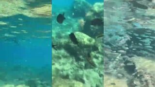 Fig Tree Bay, Cyprus — рыбка у пляжа: где бросать микроджиг?