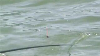 Kouris Dam — 3-й турнир: береговая тактика и ветер