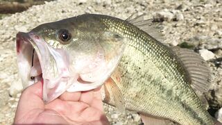 Эврету — бассовая рыбалка: береговые маршруты на рассвете