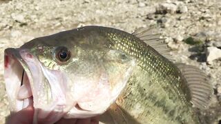 Эврету — бассовая рыбалка: береговые маршруты на рассвете