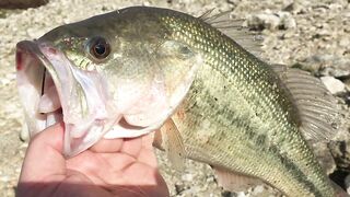 Эврету — бассовая рыбалка: береговые маршруты на рассвете